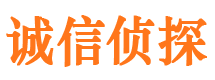 乐业市调查公司